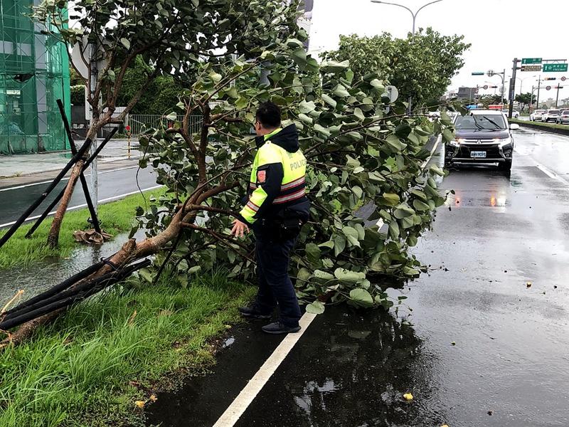 白鹿颱風宜縣路樹倒塌多處 波麗士第一時間清除!