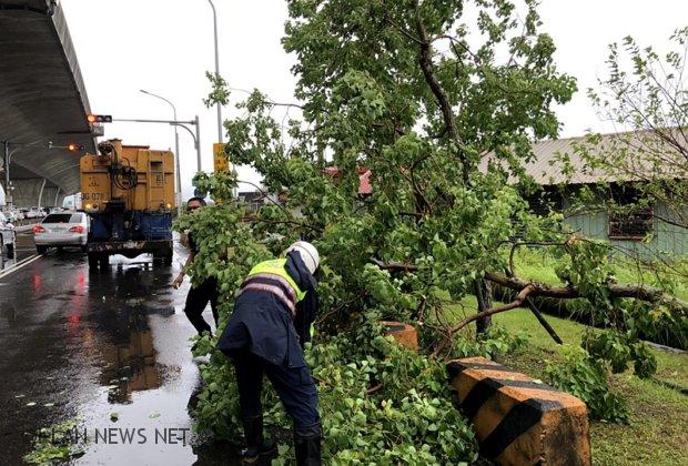 白鹿颱風宜縣路樹倒塌多處 波麗士第一時間清除!