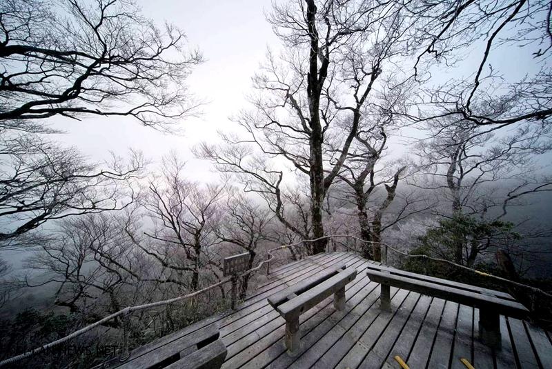 太平山深夜創下入冬以來最低溫零下6度但未下雪!