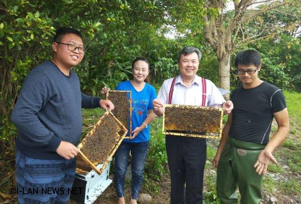 學界推展養殖野蜂創造農村與原鄉經濟創生