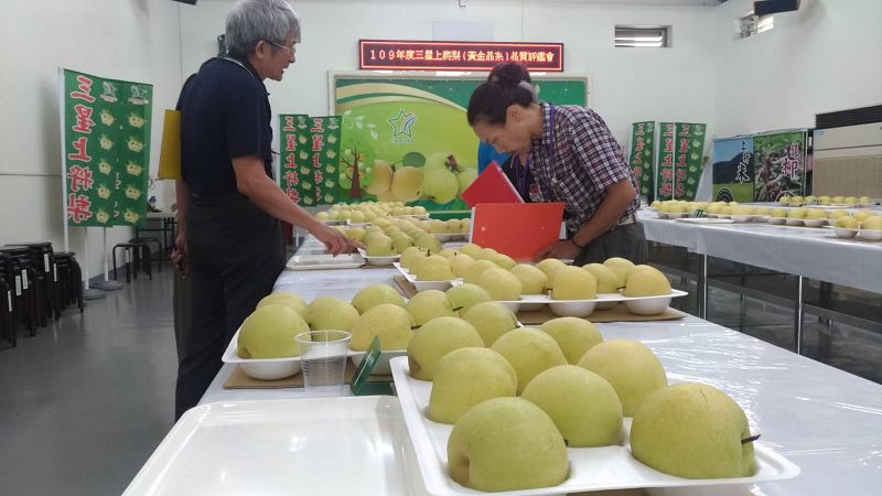 每年7月是「三星上將梨」盛產採收季節，是消費者品嚐選購的最佳時機。