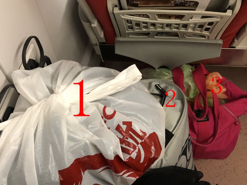 坐火車行李有2件40公斤限制 婦人生平第一次補普悠瑪站票!!
