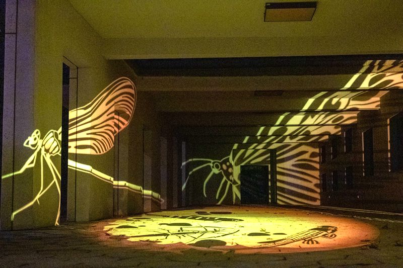 礁溪跑馬古道公園10月23日 邀請民眾一起享受聲光藝術!