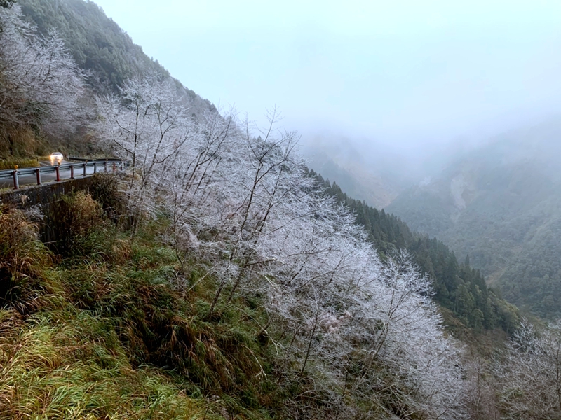 太平山首場瑞雪預估在20日夜晚見