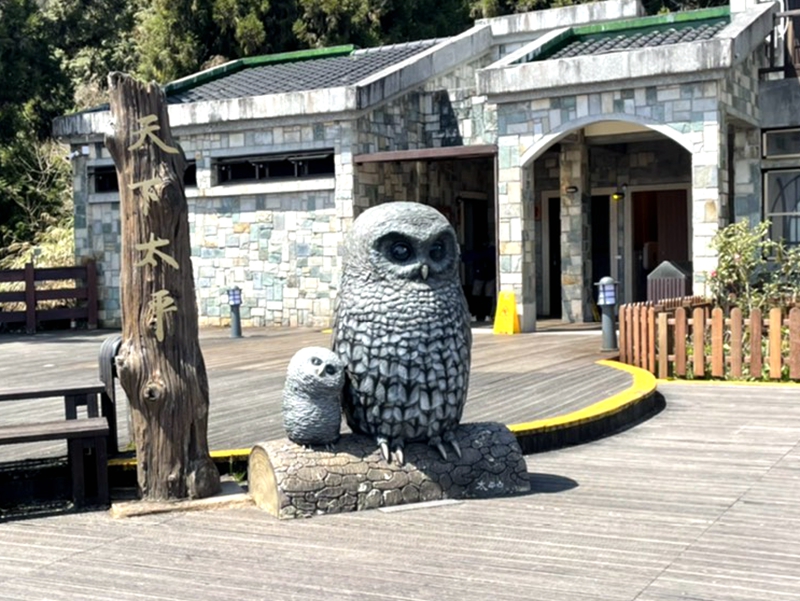 太平山夜探貓頭鷹年度僅3場 限住宿太平山莊遊客報名!