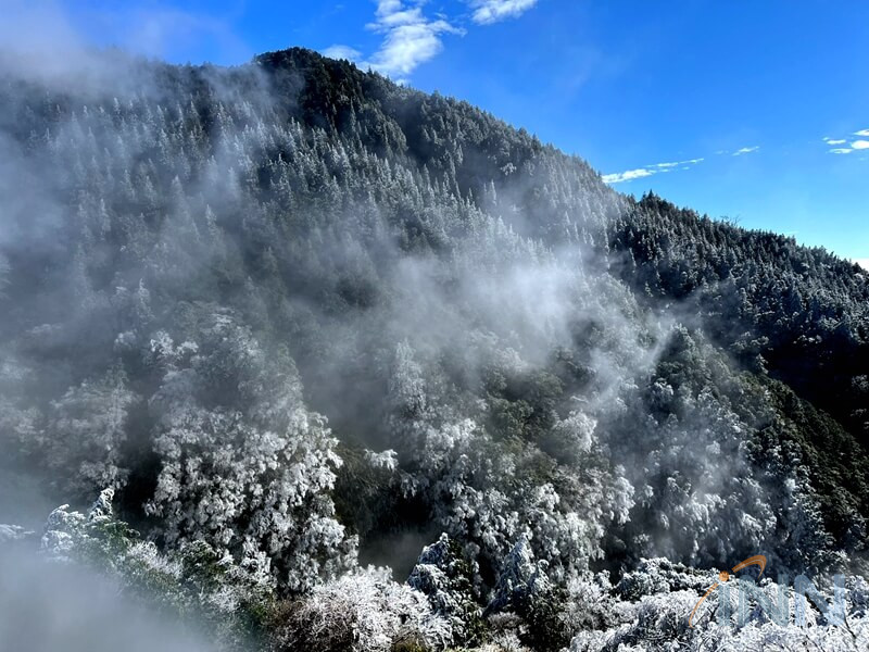 太平山沒大雪 霧凇、雲海、陽光也是大景!(照片羅東林務局提供)