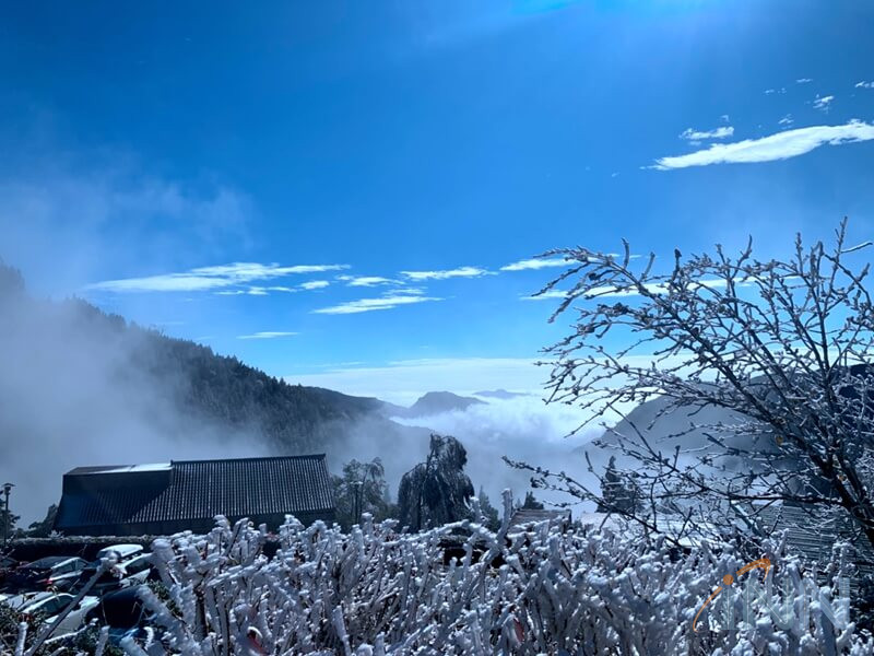 太平山沒大雪 霧凇、雲海、陽光也是大景!(照片羅東林務局提供)