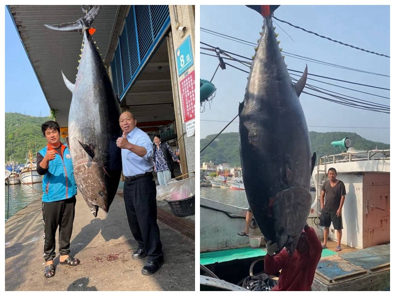 蘇澳漁民李家豪捕獲320公斤重黑鮪魚破歷年記錄!