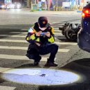 機、汽車車禍 休旅車疑肇逃 警方鎖定調查中!(林周龍攝)