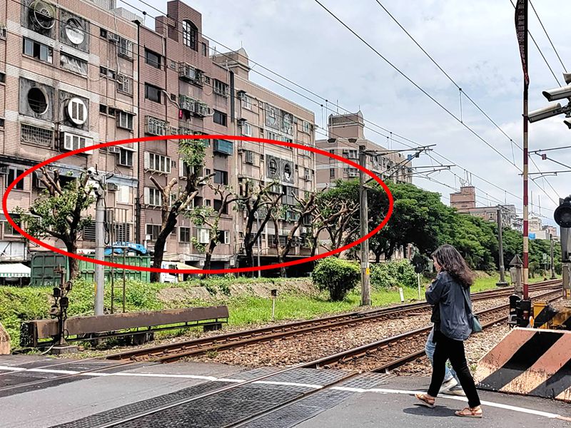 台鐵將羅東站東路鐵道旁路樹修剪光凸凸合適嗎?(照片林聰文提供)