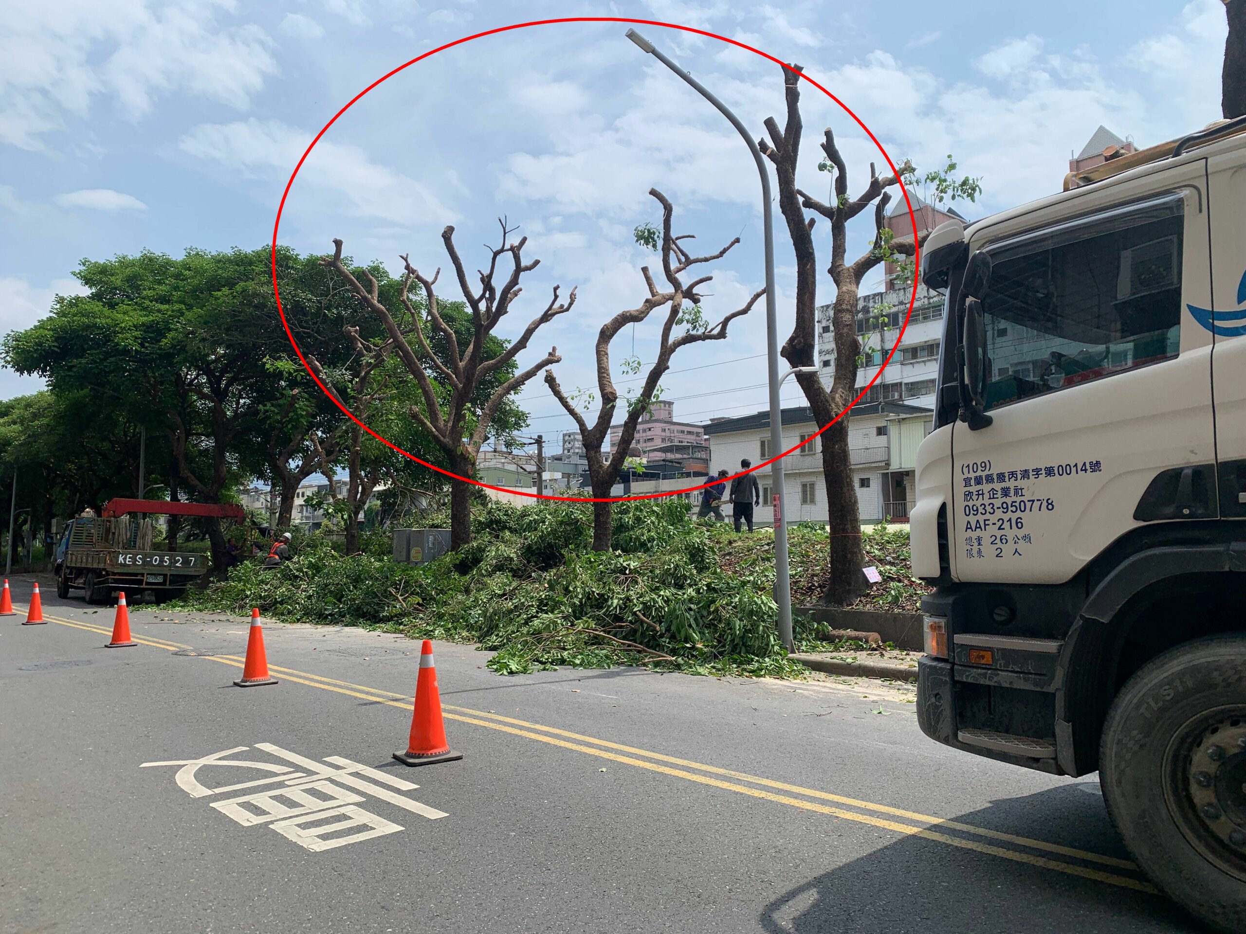 台鐵將羅東站東路鐵道旁路樹修剪光凸凸合適嗎?(照片林聰文提供)