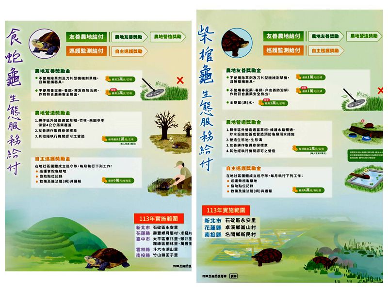 保護食蛇龜與柴棺龜生態 每年最高核發3萬元!