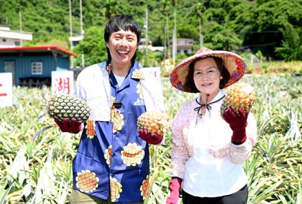 員山百年土鳳梨 吃過的消費者都成回頭客!