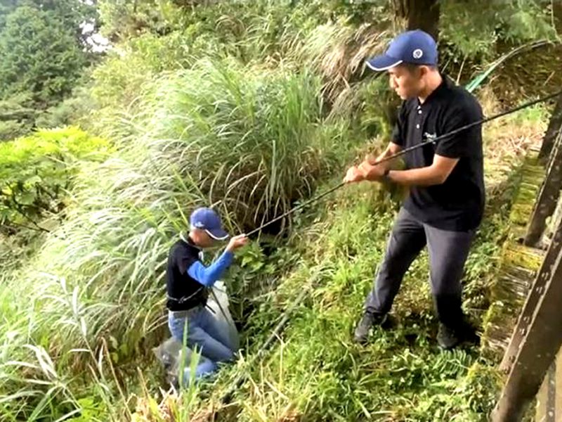 太平山森林遊樂區亂丟便當盒將開罰