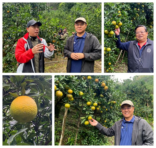 「植物醫生」助頭城黃金茂谷果園管理升級！