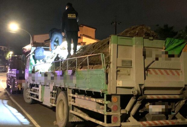 珍貴扁柏遭竊！宜蘭警方逮6名嫌犯送辦
