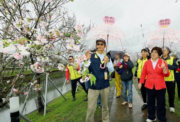 羅莊櫻花步道賞櫻 導覽解說、線上抽獎