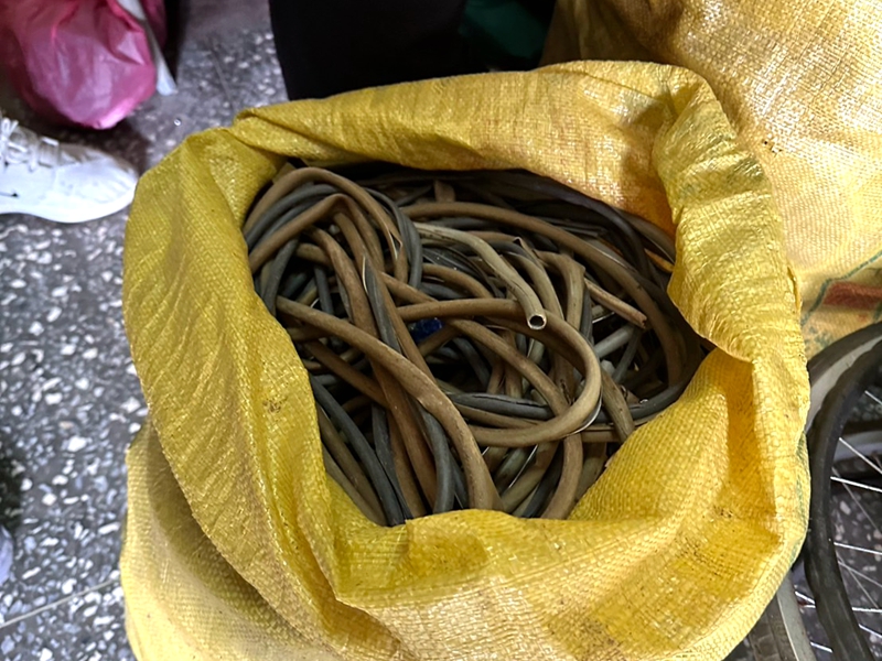 雞還沒養就先被偷？電纜竊賊落網還藏毒品！