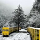 宜蘭小仙境❄️太平山3月雪美翻全場！