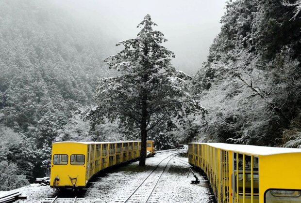 宜蘭小仙境❄️太平山3月雪美翻全場！