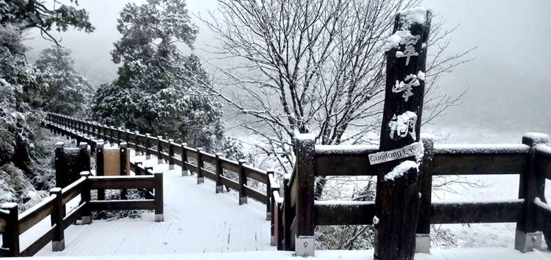 宜蘭小仙境❄️太平山3月雪美翻全場!