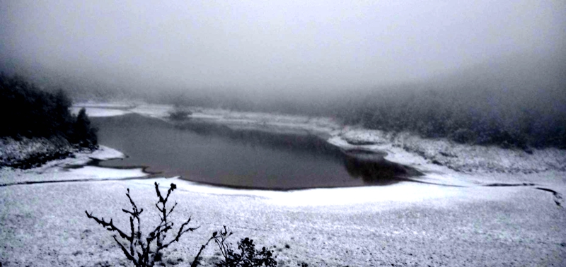 宜蘭小仙境❄️太平山3月雪美翻全場!