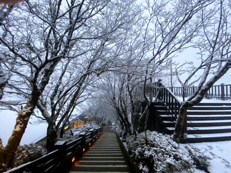 宜蘭小仙境❄️太平山3月雪美翻全場!