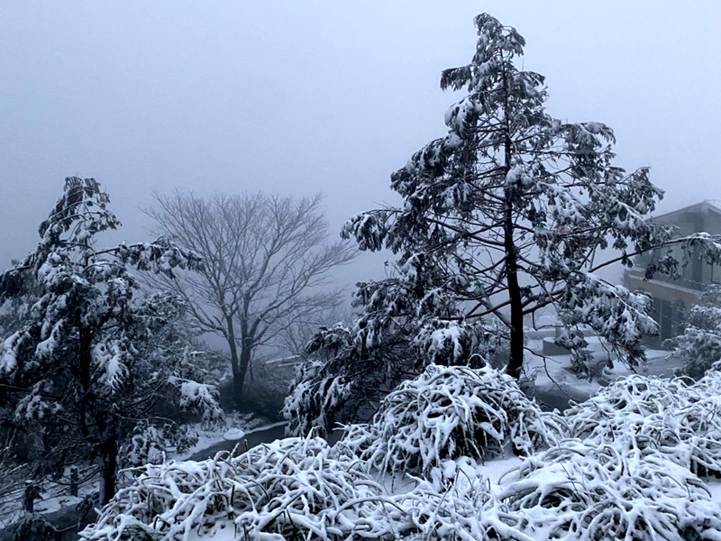 宜蘭小仙境❄️太平山3月雪美翻全場!