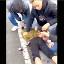 宜蘭2月詐騙逾3億！宜警打詐財損少5千萬