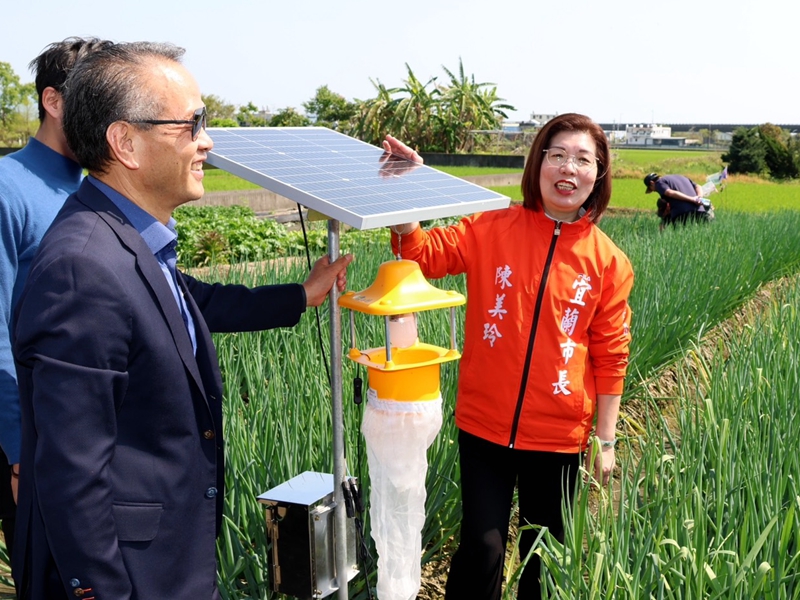 宜蘭青蔥產量翻3倍！新農法大公開!