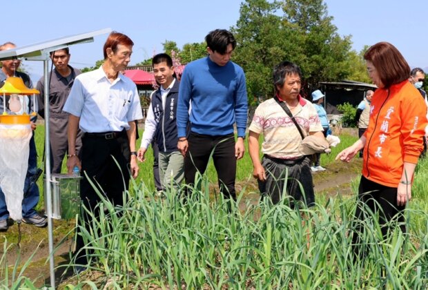 宜蘭青蔥產量翻3倍！新農法大公開!