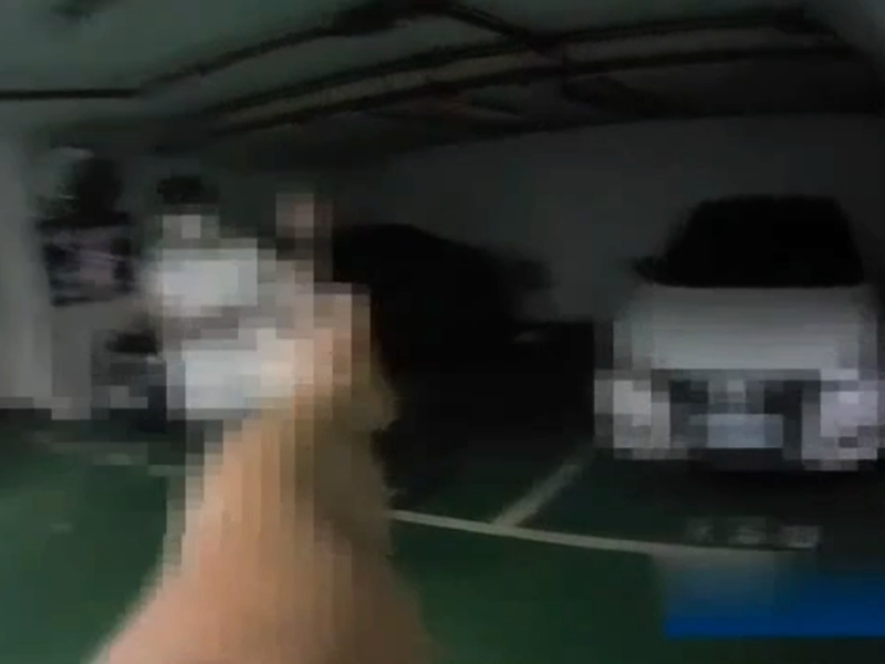 竊賊突圍逃逸 羅警以車追人8小時逮人!