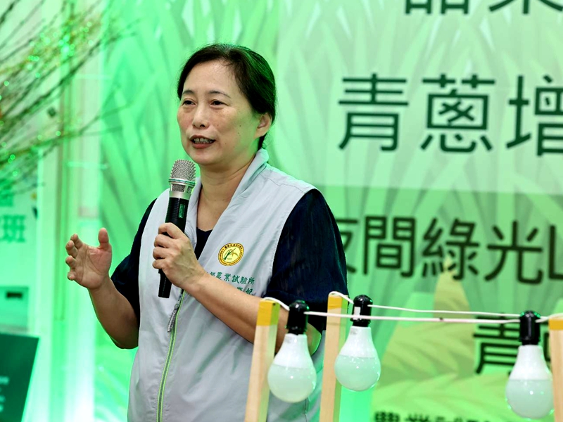 綠燈照三星蔥田不再爛頭 甜菜夜蛾不敢動!