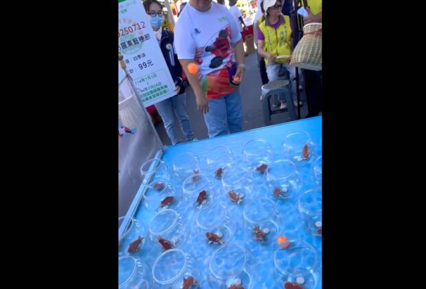 羅東藝穗節 彈跳乒乓魚送好禮打卡必玩