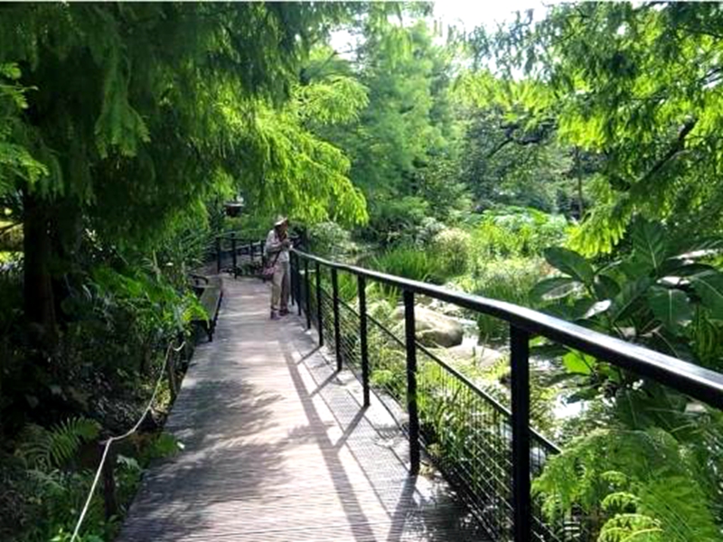 大安森林公園紫薇花海與水鳥共舞!(照片台北市政府提供)