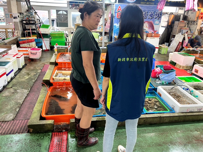 新北市漁業處呼籲攤商及餐廳勿販售未達採捕甲殼寬的蟳蟹或禁捕期間的抱卵母蟹