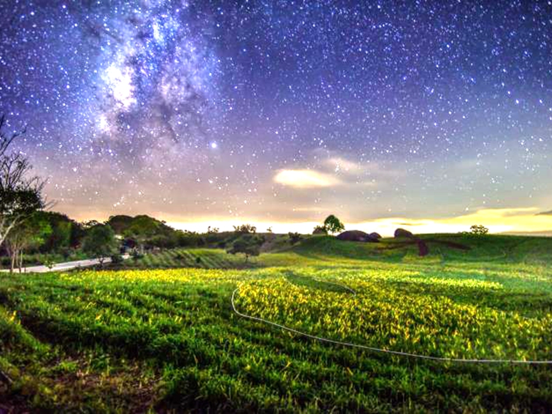 流星花蓮 星光音樂會8月2日在富里