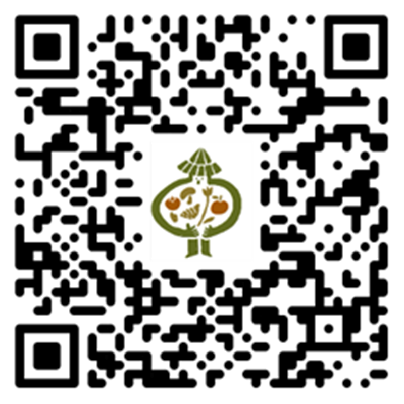 饕客可至臺中市政府農業局-臺中領鮮-電商平台選購梨山優質水蜜桃