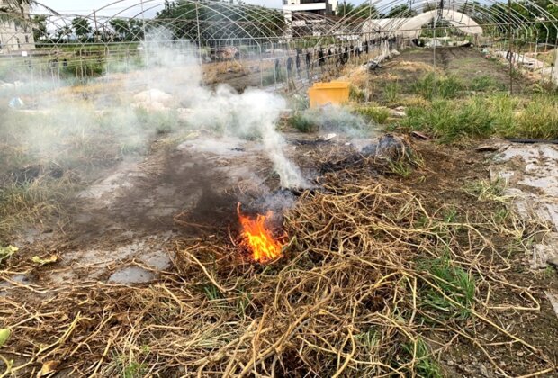 別再燒稻草 友善農作讓土地與空氣都更好