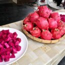 員山紅龍果三連霸 紅肉、甜王雙料冠軍