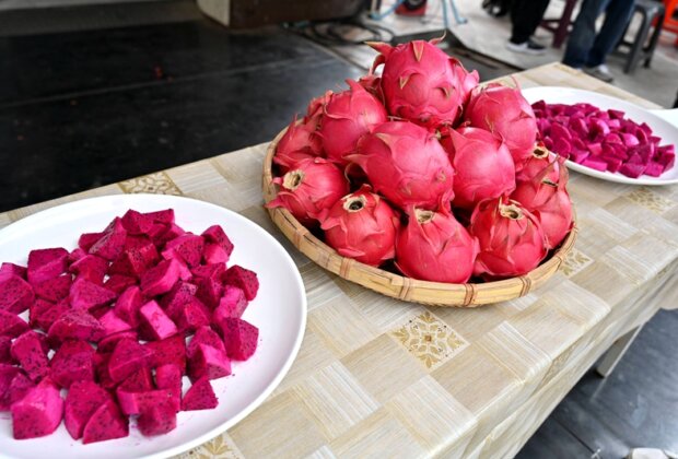 員山紅龍果三連霸 紅肉、甜王雙料冠軍