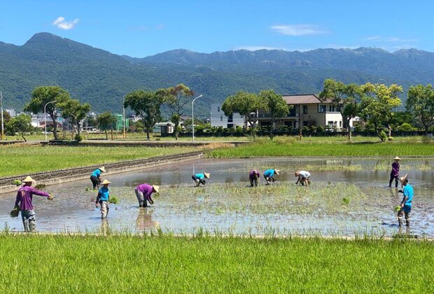 礁溪玉田弄獅＋稻田彩繪 宜蘭最新亮點