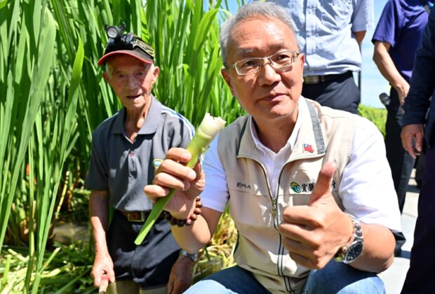 礁溪溫泉茭白筍 美人腿料理秀秋收最佳饗宴