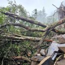 太平山宜專一線土石崩塌搶通15日正常開園