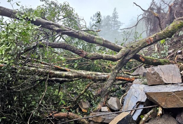 太平山宜專一線土石崩塌搶通15日正常開園