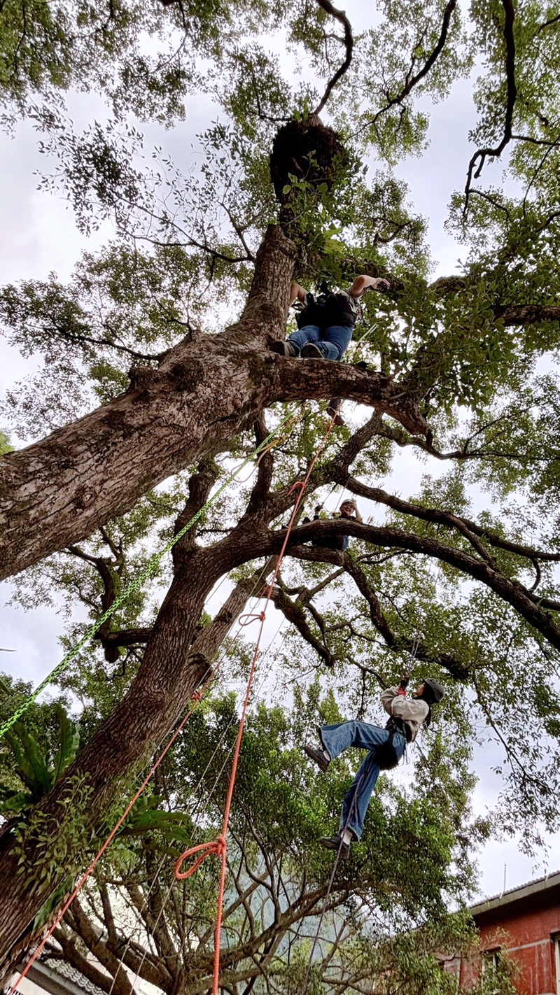 政大實驗教育新手村 教師找回好奇力量!