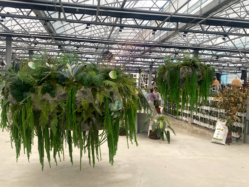 宜蘭全新秘境「遛遛三星」白狐狸迎賓超吸睛