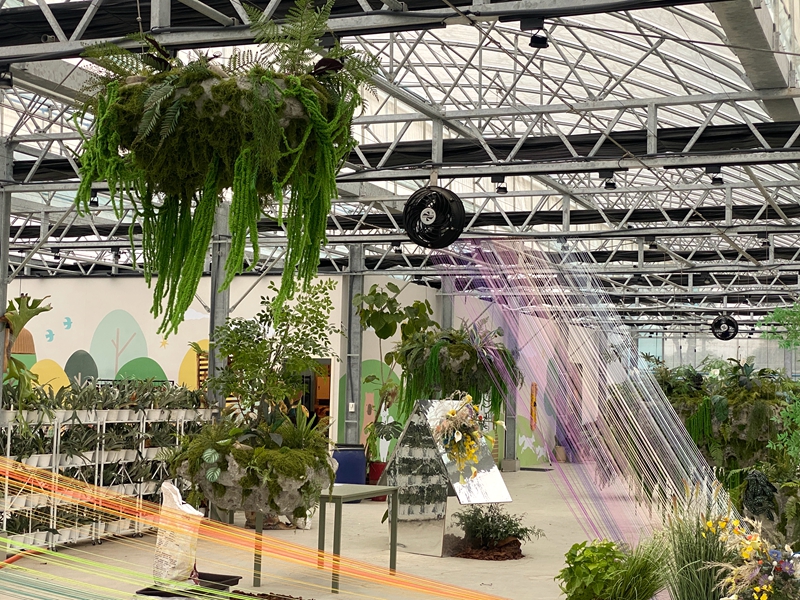 宜蘭全新秘境「遛遛三星」白狐狸迎賓超吸睛