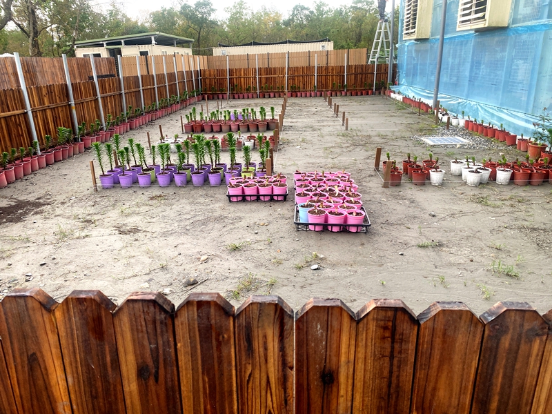 宜蘭全新秘境「遛遛三星」白狐狸迎賓超吸睛