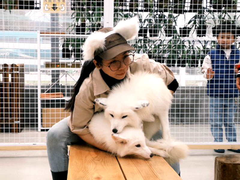 全台首推白狐親子農場 遛遛三星讓您療癒!